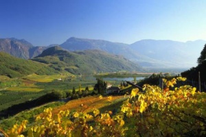 Castegliani Landschaft.jpg